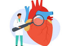 Cardiologist: Career, Skills